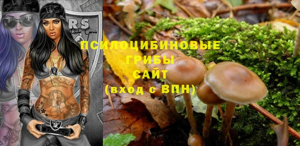 прущие грибы Верея