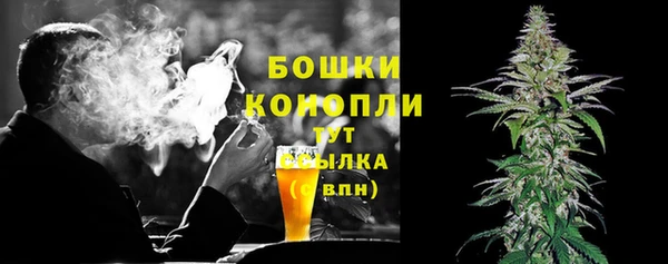 прущие грибы Верея