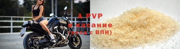 прущие грибы Верея