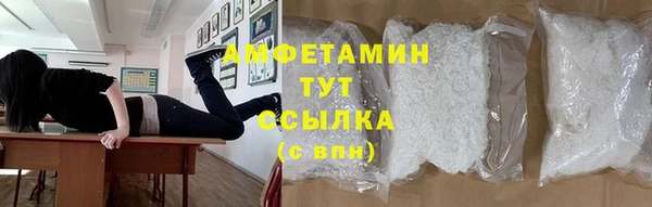 прущие грибы Верея