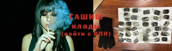прущие грибы Верея
