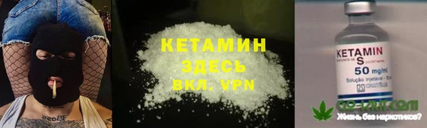 прущие грибы Верея