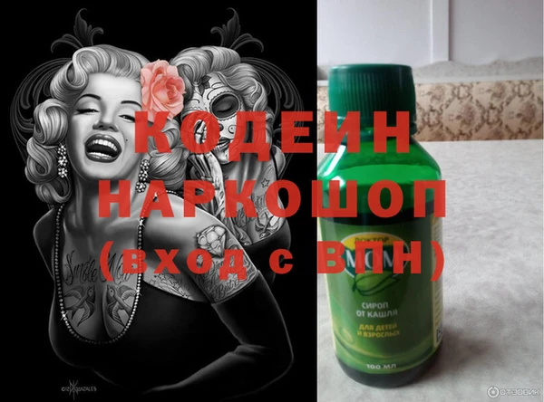 прущие грибы Верея