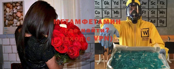 прущие грибы Верея