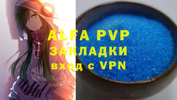 прущие грибы Верея