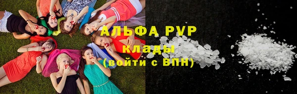 прущие грибы Верея