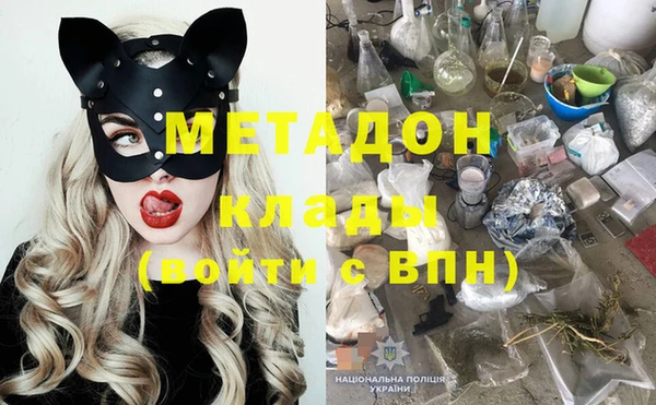 прущие грибы Верея